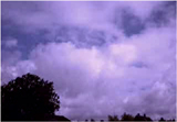 Sep24_123452
