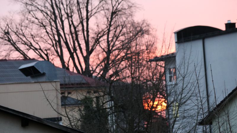 Gezeigtes Bild