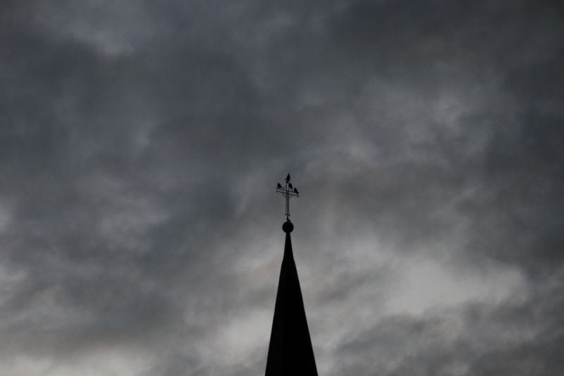 Gezeigtes Bild