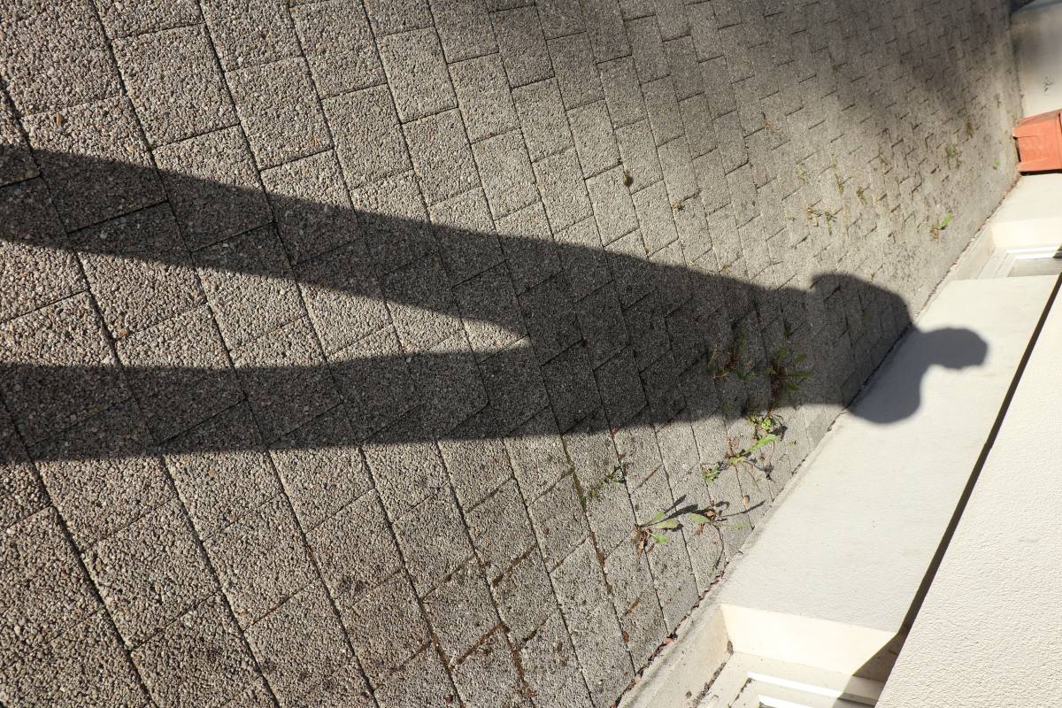 Gezeigtes Bild